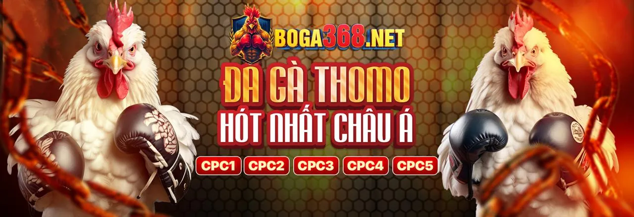 Sân đá gà trực tuyến sôi động tại mwc77 code