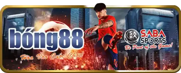 Tỷ lệ cược đá gà hấp dẫn nhất thị trường